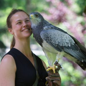 Dr. med. vet. Mandy Carnarius